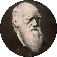 Seeking Wisdom: Value Investing & Worldly Wisdom net worth