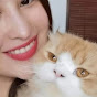 Daebak ASMR Image Thumbnail