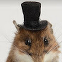 BradyBoi_VR profile image