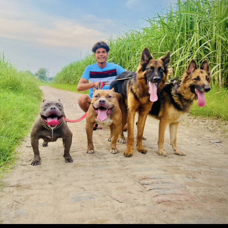 Ritik dog lover177