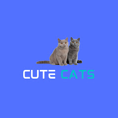 Cute Cats channel logo