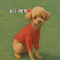 홍시애미
