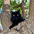 Avatar photo