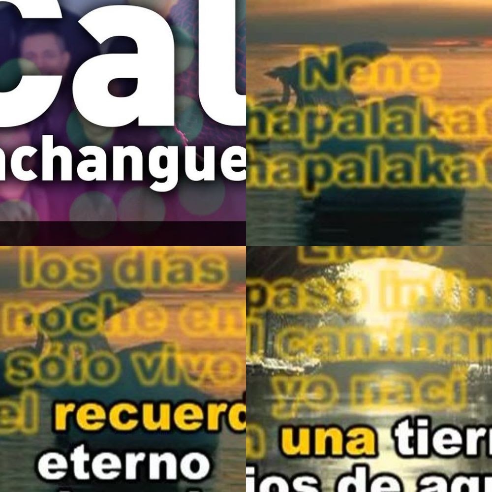 KARAOKE SALSA CLÁSICA