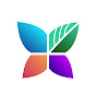 FBC Savoy - IL logo