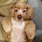 @Joe_Cribben's avatar