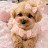 @무풍-s6i
