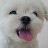 @bbangddoong