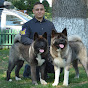 Misa & Kenzo the American Akitas logo