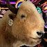SCN-B8XC4tg-channel-avatar-Slotty Mike