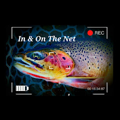 In And On The Net Fishing