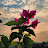 @MuskanVish19993