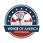 Voice of America Newsroom logo