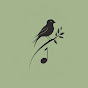Birdsong Melodies logo