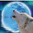 @Thorn-the-arctic-wolf-therain