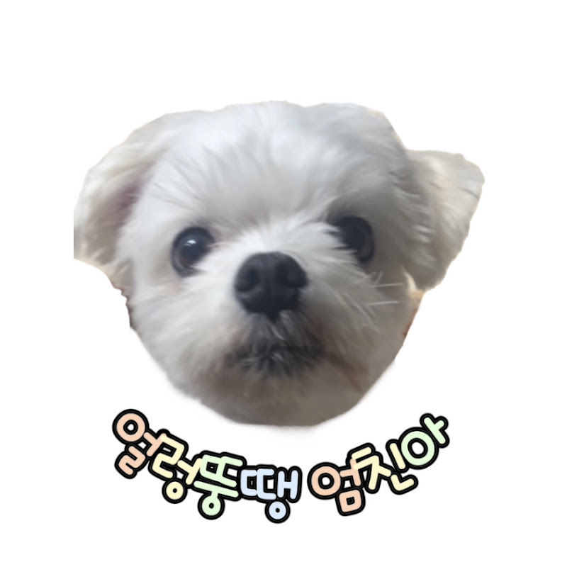 얼렁뚱땡 엄친아 _anxious puppy