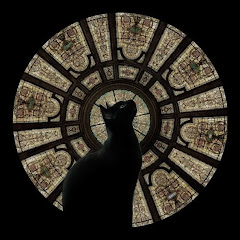 - زهـرَاء 🔅. 