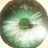 @Astralysis's avatar