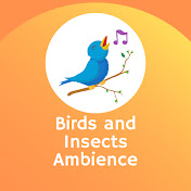 Birds and Insects Ambience