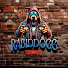 Qx271G8vuaI-channel-avatar-Rabiddogg
