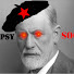 wZYR1jTgIKw-channel-avatar-PsychoSocialism