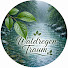 mpYi1iOF54M-channel-avatar-Waldregen Traum