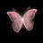 @butterfly-sh5vx