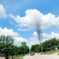 Rajesh Bhai up 38