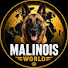 gO0oOXeQvd4-channel-avatar-Malinois World 