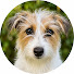 HePjdYuT57k-channel-avatar-LILLY WAGTAIL