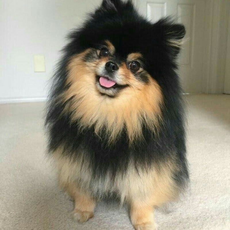 tae💜