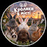 aPjeOrbprNY-channel-avatar-Кролики в місті🐰🐰