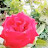 @غرباء-ق4ش