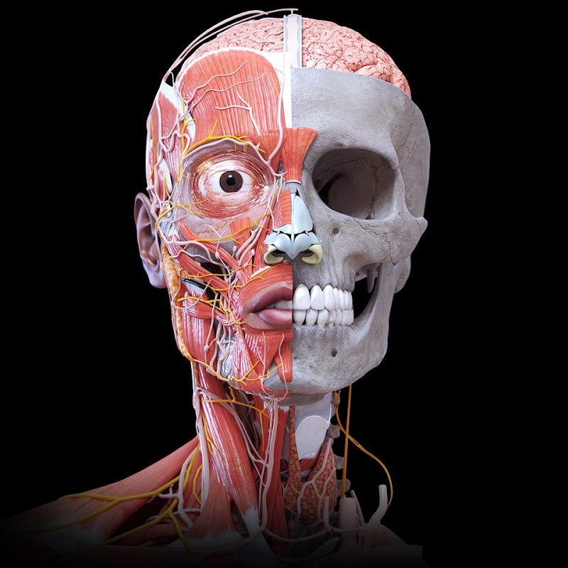 Smart Doctor 👨‍⚕️