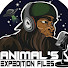 tvQOCi9VrTw-channel-avatar-Animal Expedition Files 