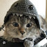 L-TXY86Qbko-channel-avatar-DoyTwo