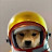 Avatar de @SkittlesClipz