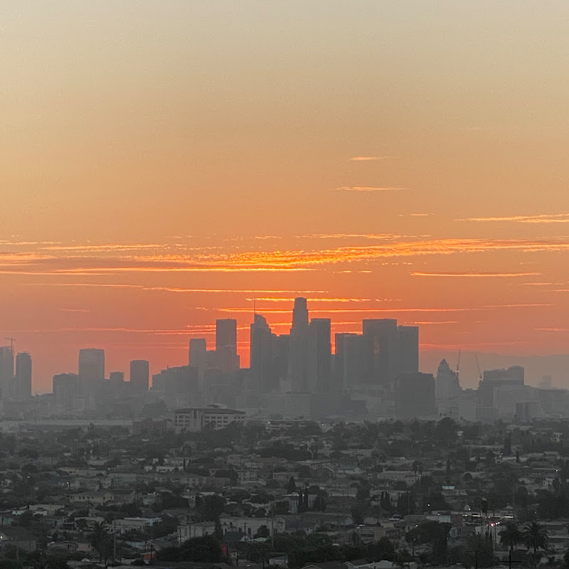 DTLA Live Feed logo