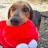 @MyDogFamilyandmore
