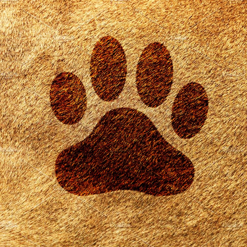 Animal Sounds & Facts