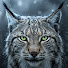 ATTIJRfj6kE-channel-avatar-Állatvilág