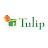 Tulip Infratech - Real Estate Developers