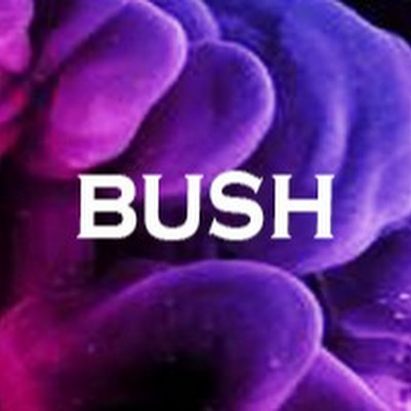 Bush NJ