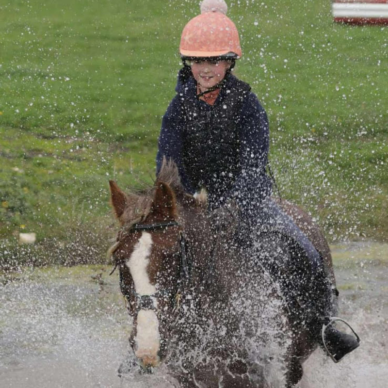 Clara’s_pony_world