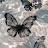 @صالحالزعبي-س8ز