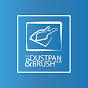 The Dustpan and Brush Store logo