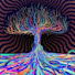 c47YdkDq794-channel-avatar-Mind Navigation