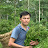 Green forest life