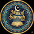 FpHCZS3Nt48-channel-avatar-Way of Sunnah BD
