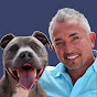 Dog Whisperer with Cesar Millan Avatar